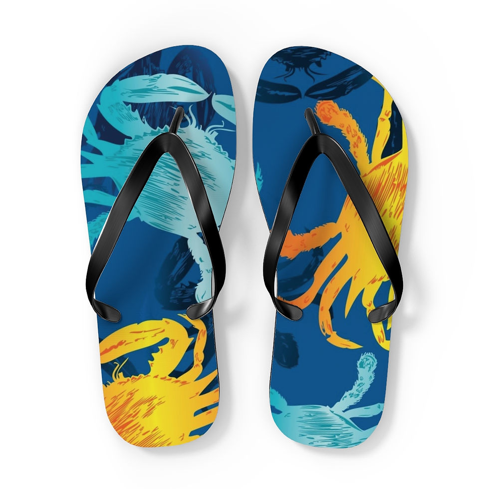 Thumbnail: Flip Flops