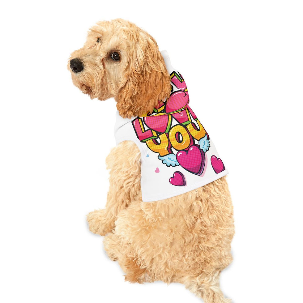 Thumbnail: Pet Hoodie