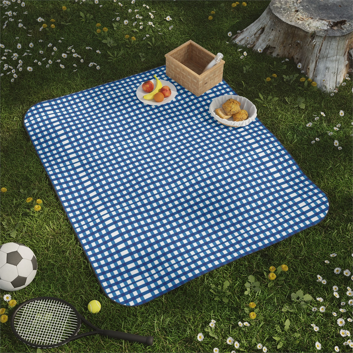 Picnic Blanket