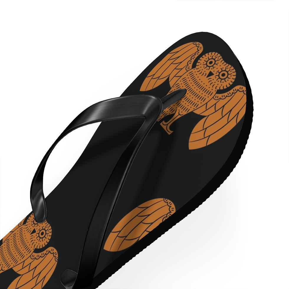 Thumbnail: Flip Flops