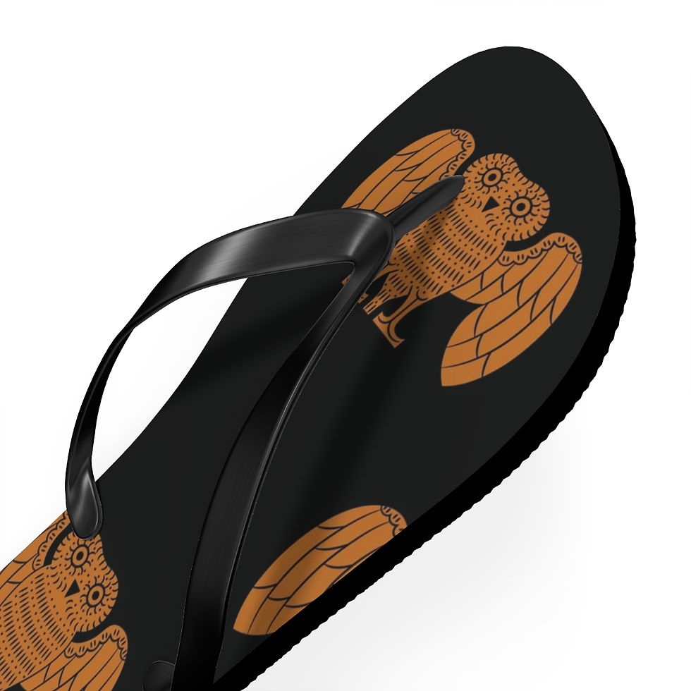 Thumbnail: Flip Flops