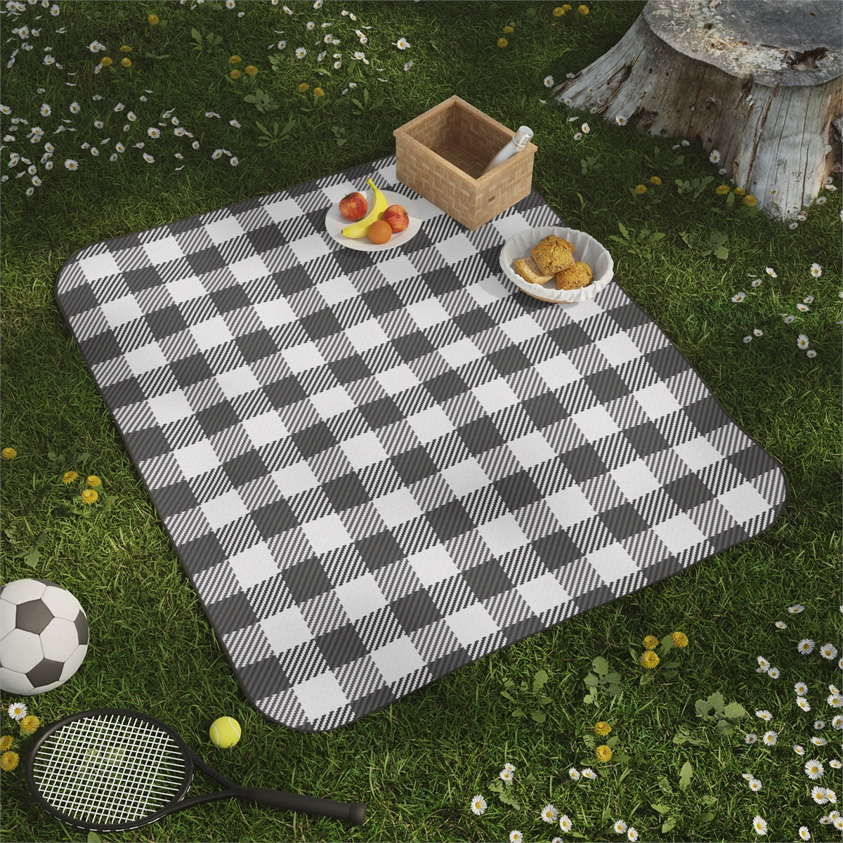 Picnic Blanket