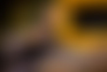 Professional Musician vs Hobby Musician