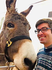 Donkey.jpeg