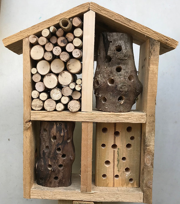 Bug hotel2.jpeg