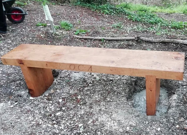 bench 2.jpeg