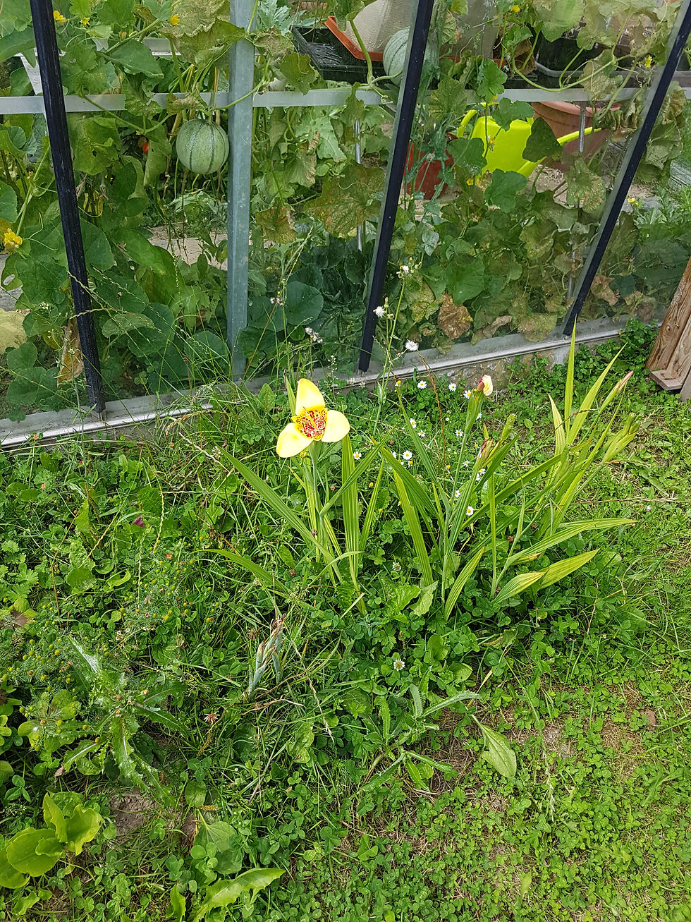 20160815_133551