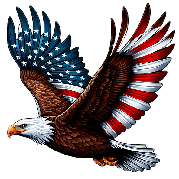 A bald eagle with all its brown feathers