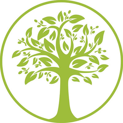 Olive Grove.jpg