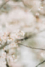 photo-1680068794241-9a5607d1b7ea