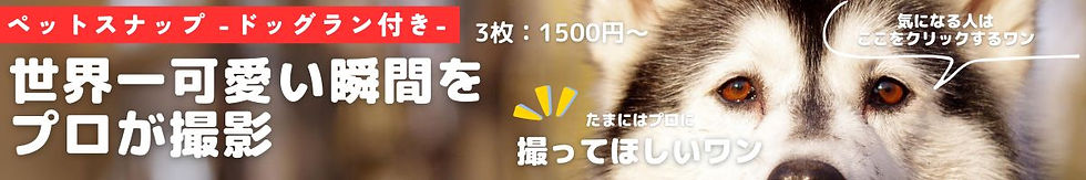世界一 可愛い瞬間。 (728 x 90 px) (1200 x 300 px) (1200 x 200 px).jpg