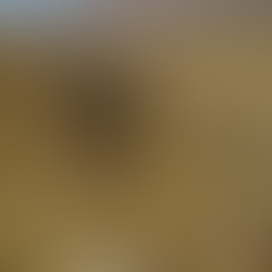 A Night of Solidarity in the Jordan Valley