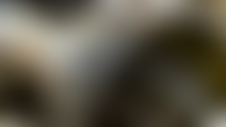 Gearbox Service for the Cement Industry: Understanding the Importance of VRM Gearbox Repair