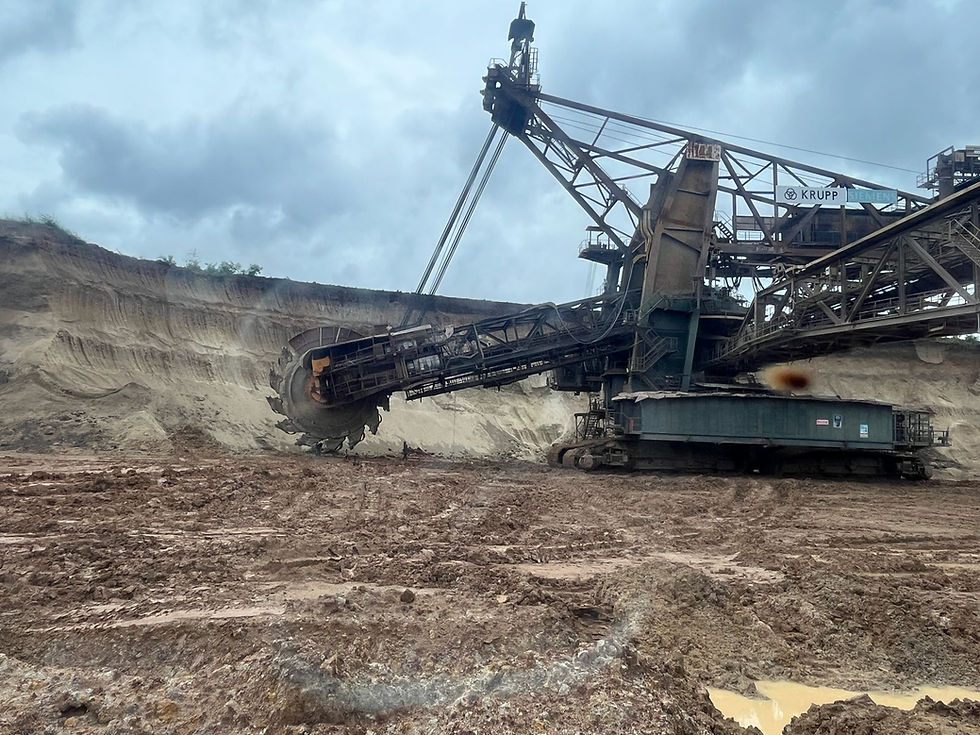 WhatsApp Image 2026-02-17 at 15.23.24.jpeg