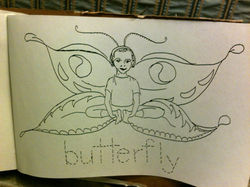 Butterfly