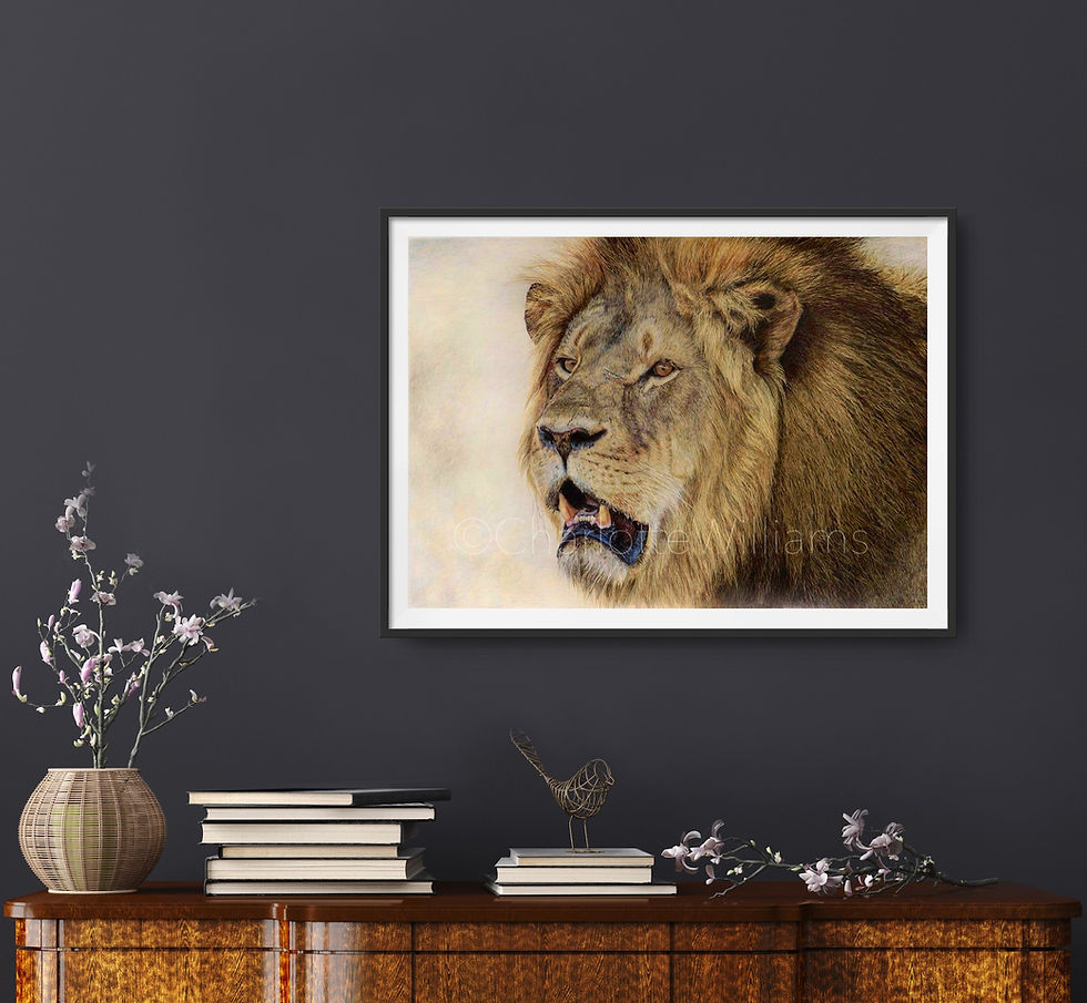 Thumbnail: Cecil Print - Signed Limited Edition Print of 100.  80 x 56cm