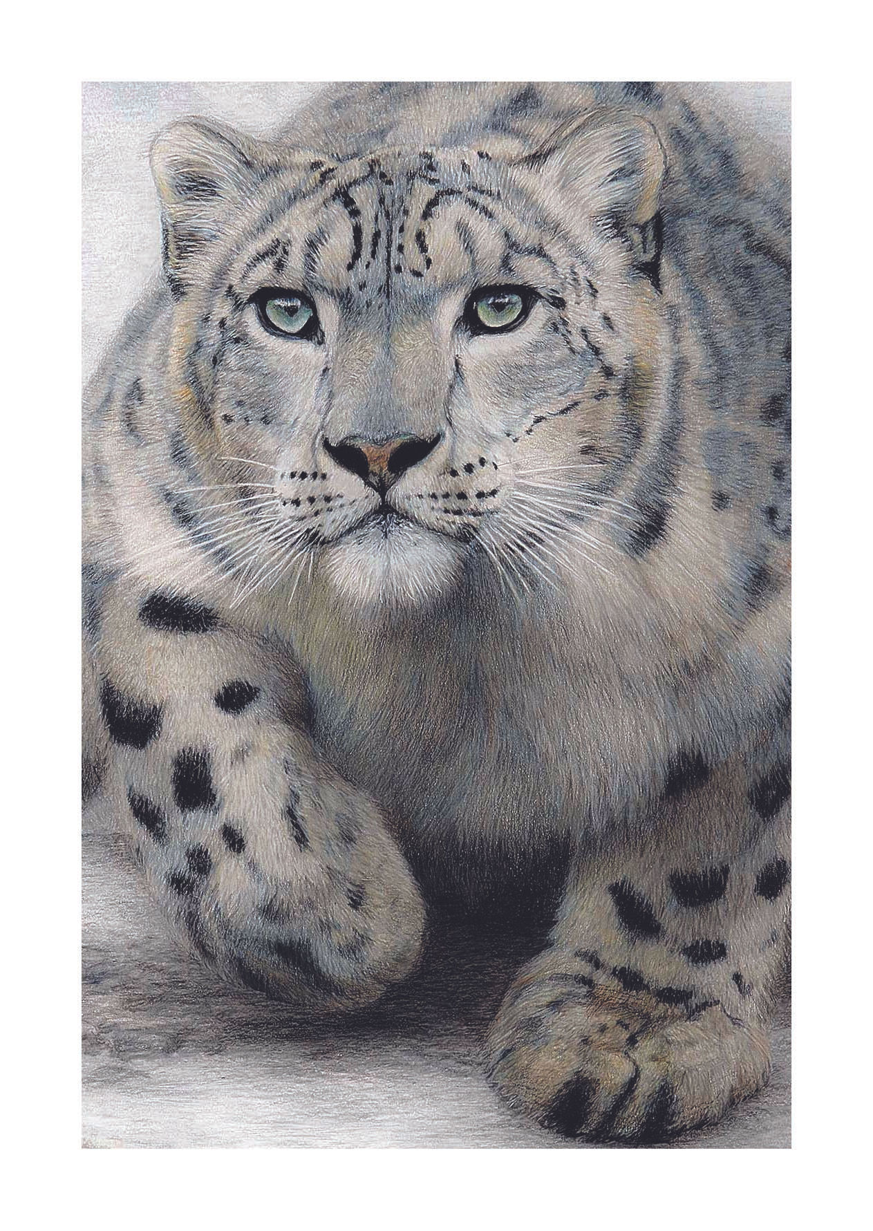 On Silent Paw - detail