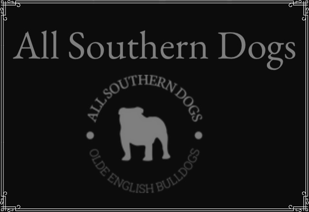 Writer: allsoutherndogs