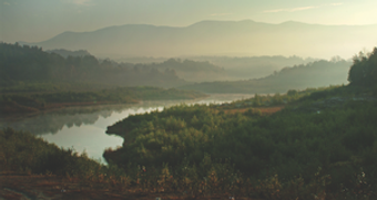5419d1694e8f8_image.png