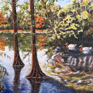 Mallards on a Cypress Cove