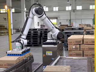 Paletizado con Robot en Alimentación: Eficiencia y Precisión en Cada Movimiento