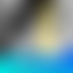 Alice Spa - Amour libre