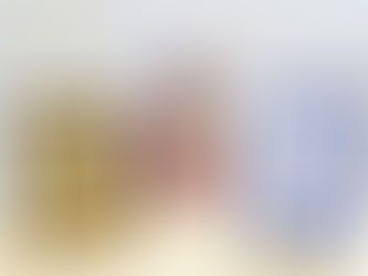 YOUNG MEMORY CHAMPION 