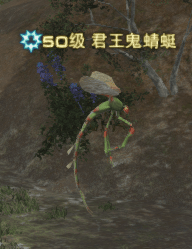 ree