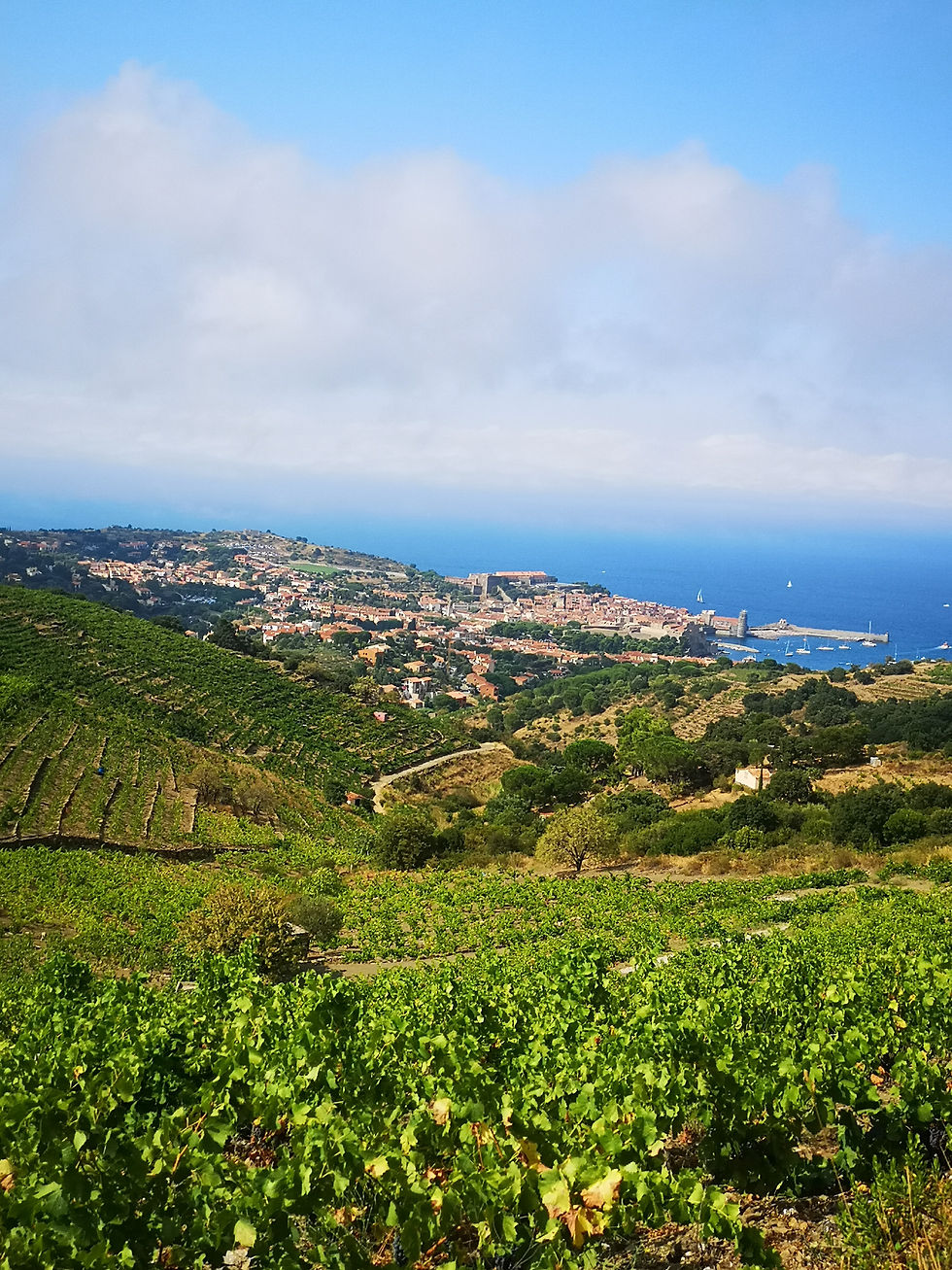 Que faire au printemps à Saint-Cyprien ?