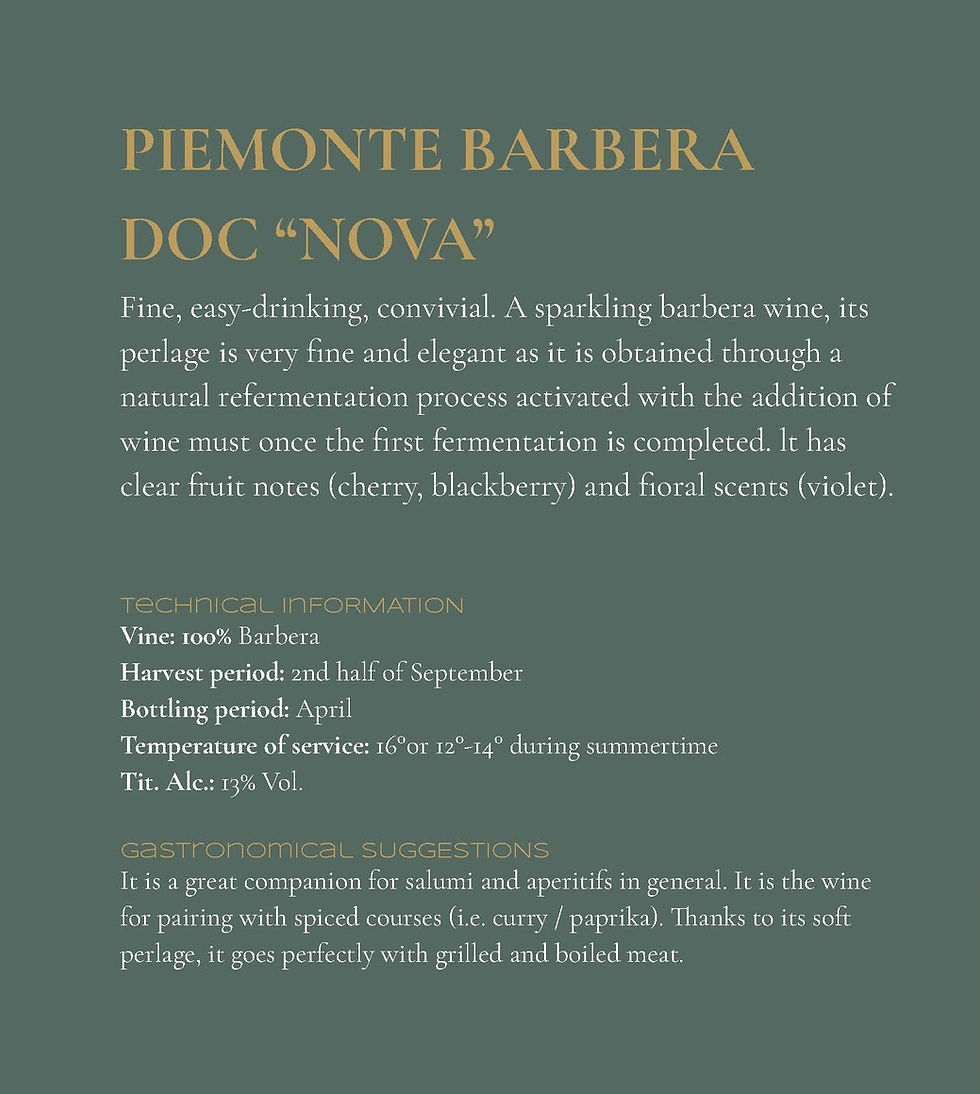 OUR PRODUCT DESCRIPTION