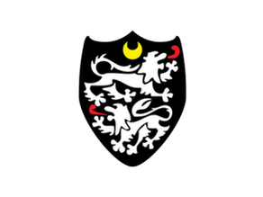 Caldy 22 Coventry Rugby 33 - Cov warm to the task as spirited Caldy left out in the cold