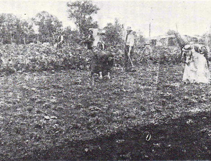 Jandakot 7.jpg