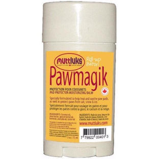Protect Your Pup's Paws