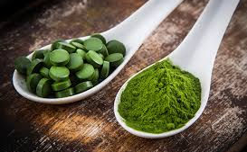 Chlorella – das grüne Gleichgewicht für den Körper deiner Katze