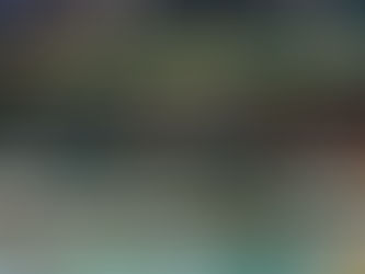 Τα μυθικά πανό των οπαδών της Shamrock Rovers