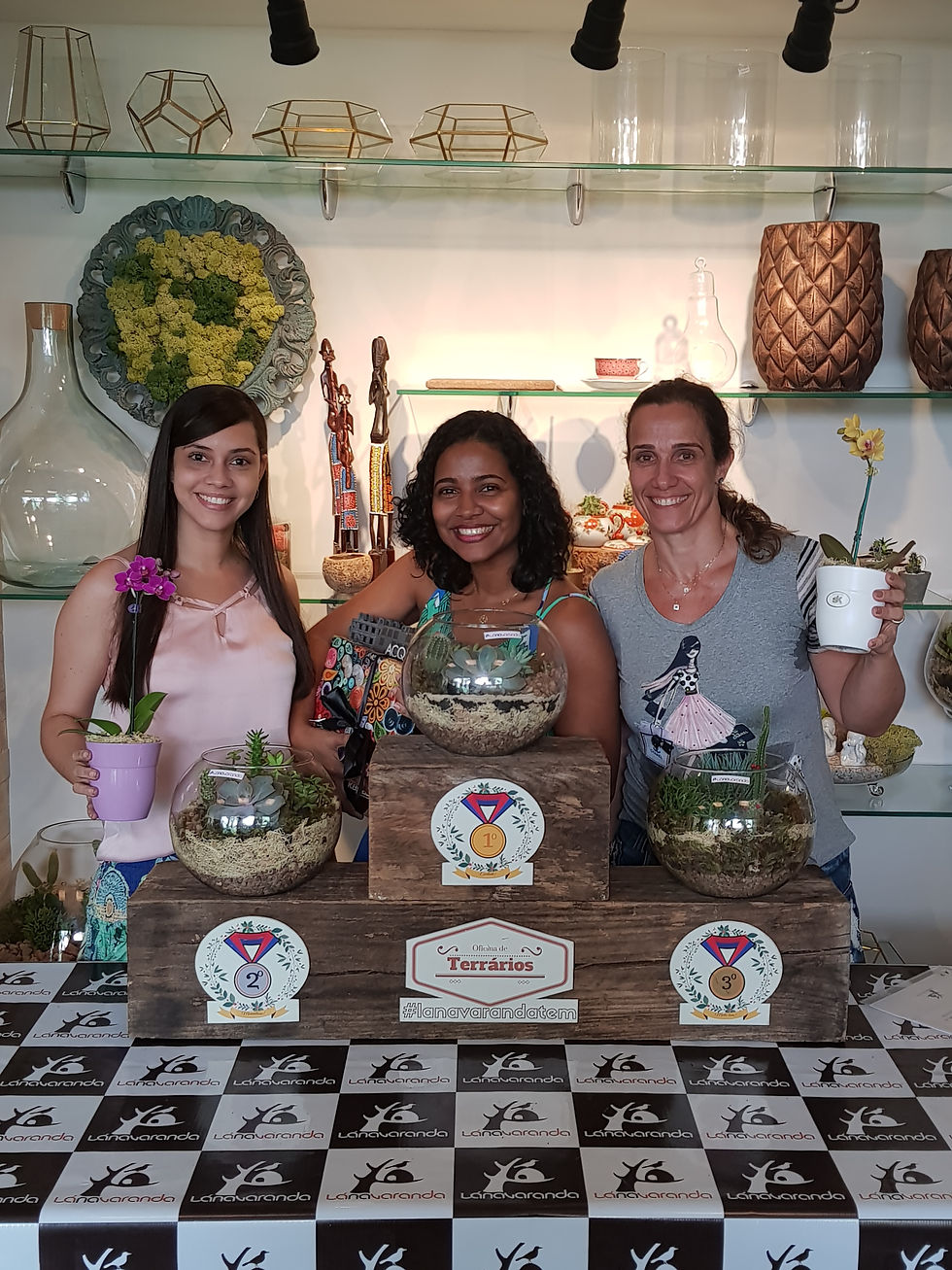 Oficina de Suculentas