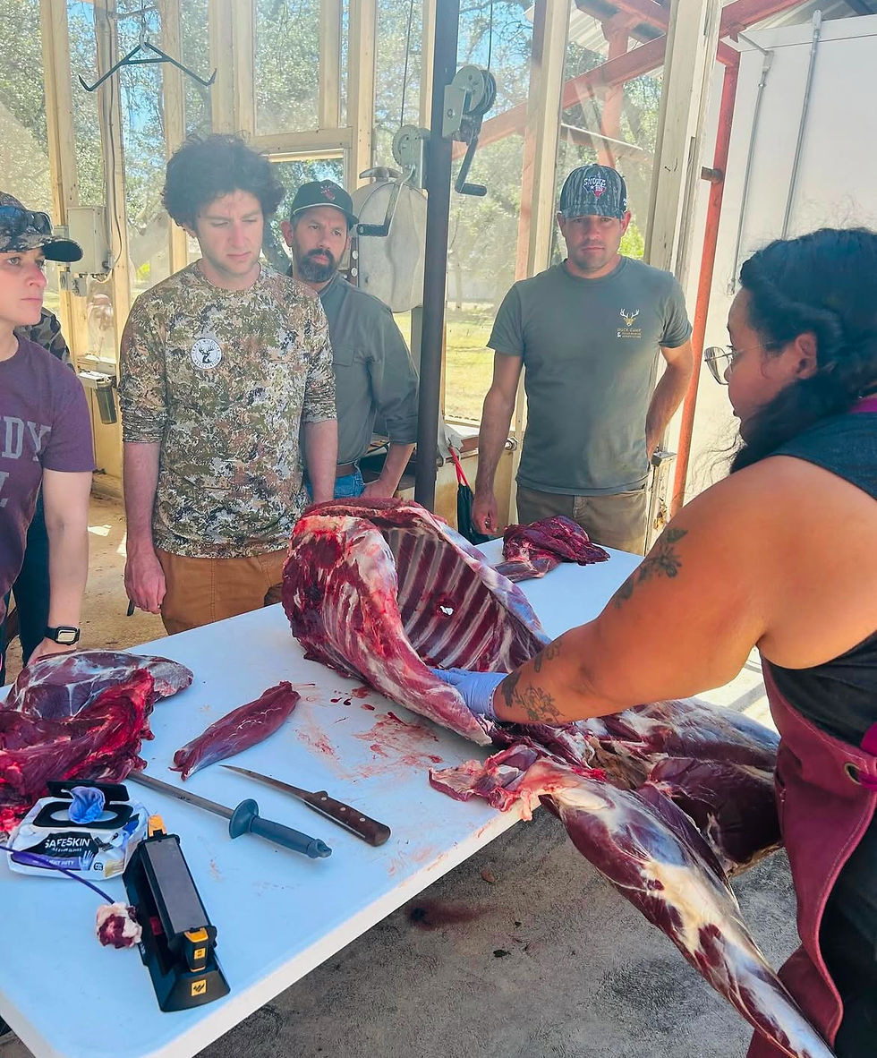 Hunting Whitetail Doe in South Texas