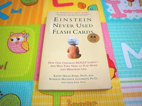 Einstein DID Use Flashcards