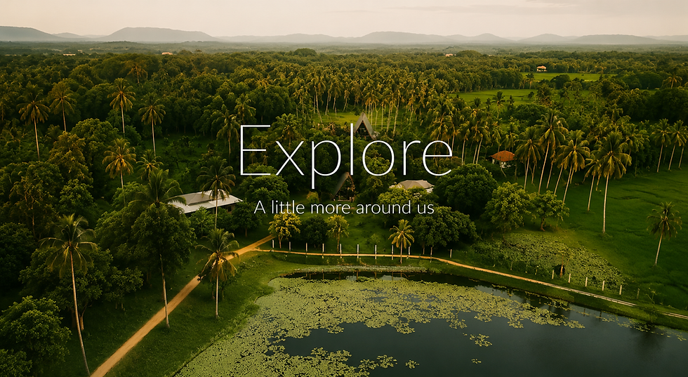 Aerial view of NJ House in Tangalle, Sri Lanka, surrounded by tropical palm trees and greenery beside a peaceful lily-covered lake