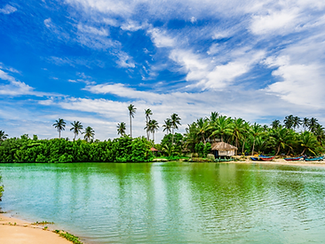Rekawa Lagoon near Tangalle, Sri Lanka, with calm water, palm trees and a tropical shoreline