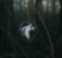 4pog-ghost-patch.jpg