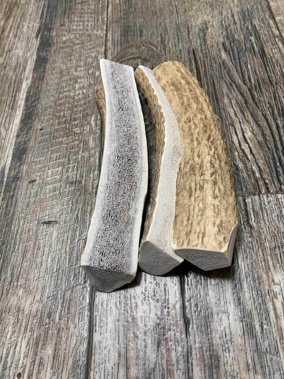 One Split Elk Anter Chew