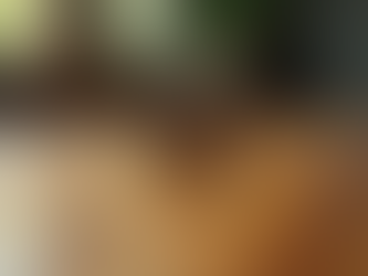 Top Bitcoin News: Stay Updated Daily