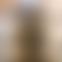 Prospecção arqueológica não interventiva no Conjunto do Carmo, Município de Santos-SP