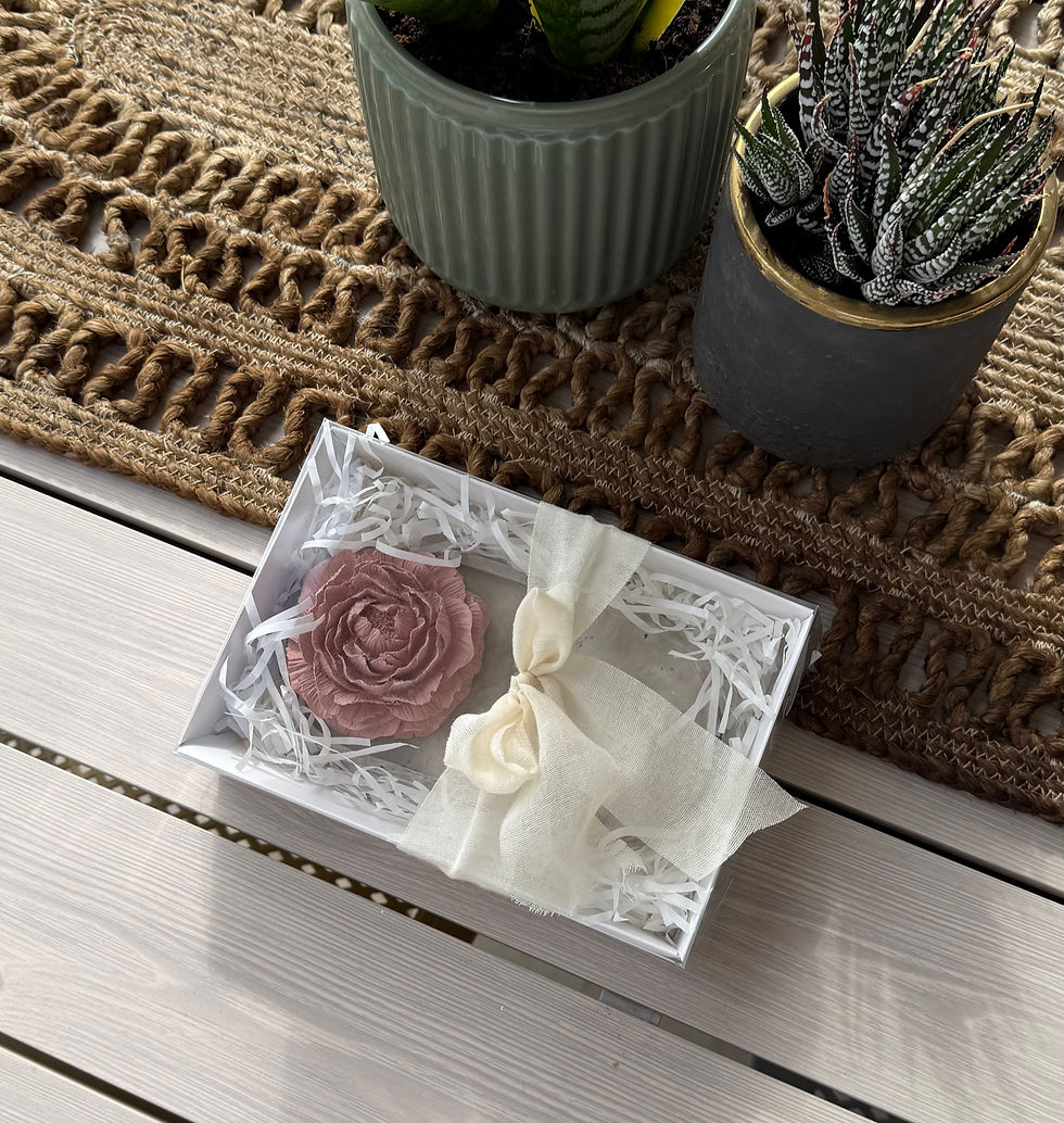 תמונה ממוזערת: דיפיוזר פיוני על מגש