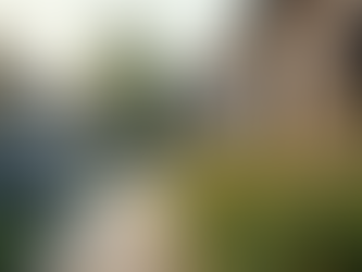 Enhancing Community Wellbeing Through Social Services for Constituents