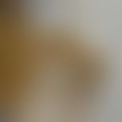 2026福袋開催！！