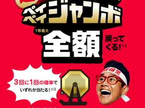 paypayのお支払いも可能です。