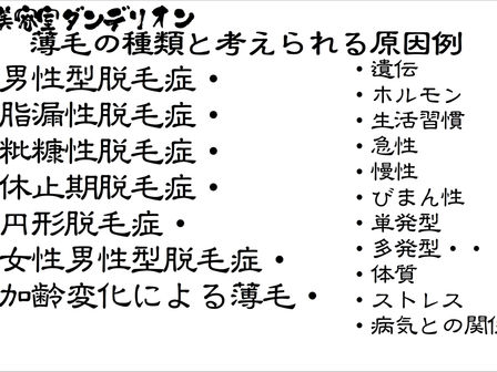 薄毛の種類と原因