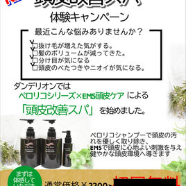 　新　頭皮改善スパ